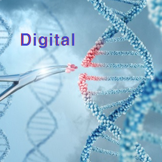 digital_4